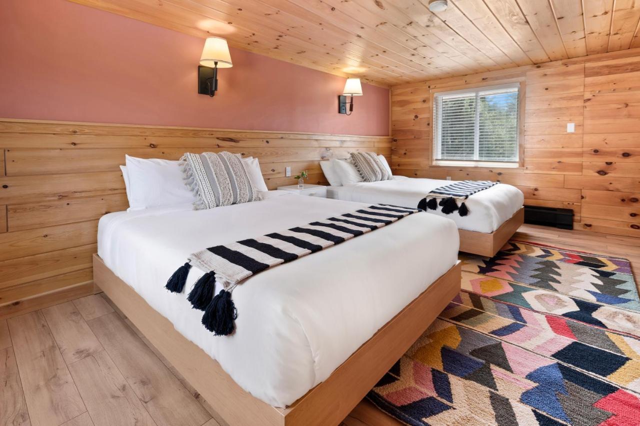 Wolfjaw Lodge Wilmington Bagian luar foto